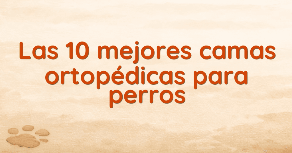Las 10 mejores camas ortopédicas para perros Las 10 mejores camas ortopédicas para perros