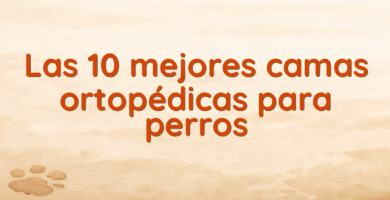Las 10 mejores camas ortopédicas para perros
