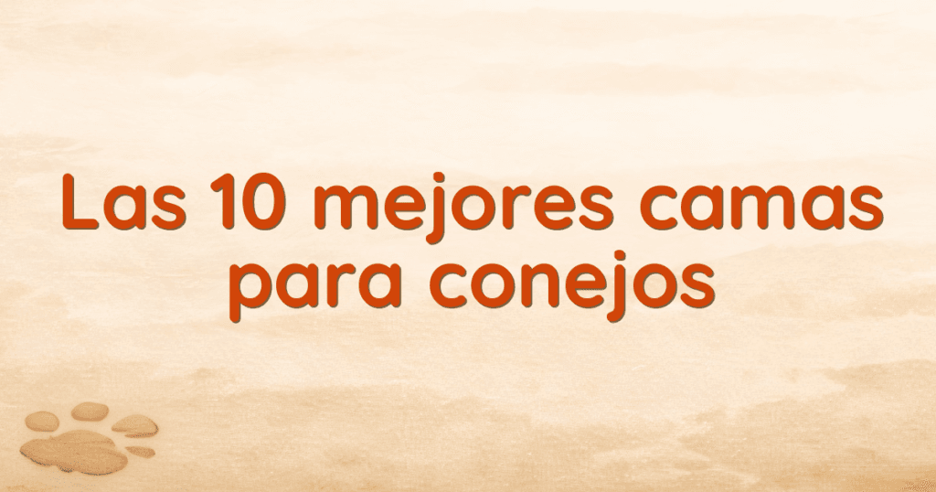 Las 10 mejores camas para conejos