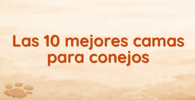 Las 10 mejores camas para conejos