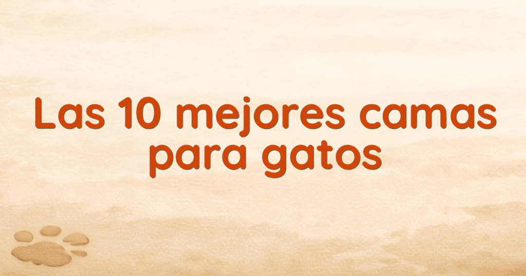 Las 10 mejores camas para gatos