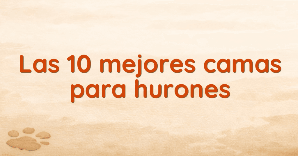 Las 10 mejores camas para hurones