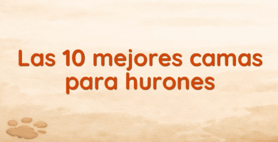 Las 10 mejores camas para hurones