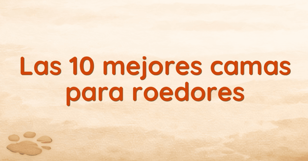 Las 10 mejores camas para roedores