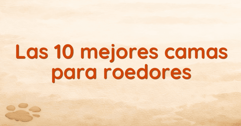 Las 10 mejores camas para roedores