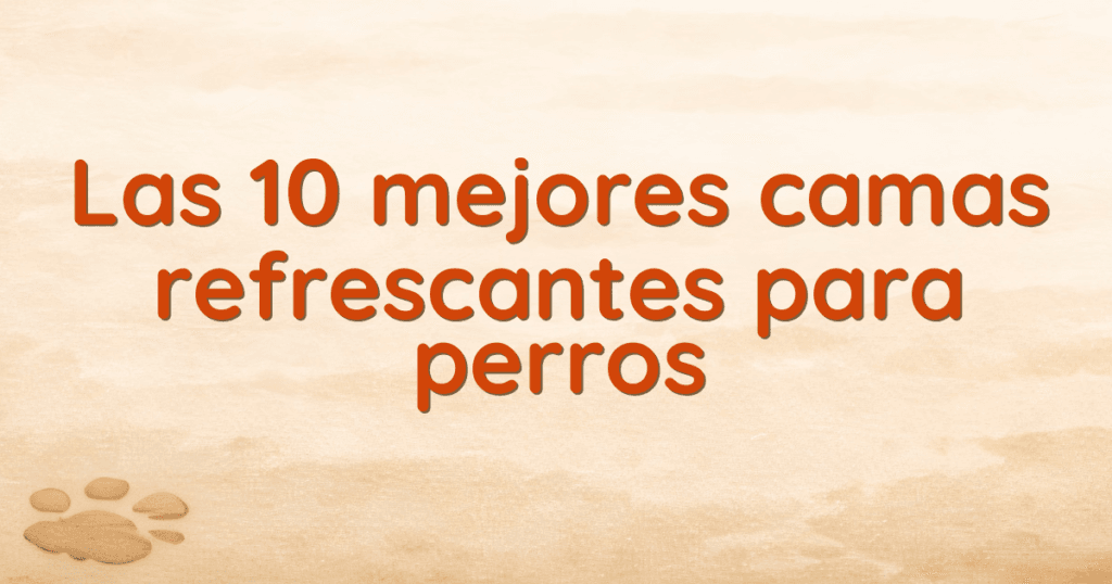 Las 10 mejores camas refrescantes para perros