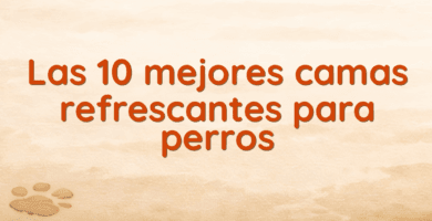 Las 10 mejores camas refrescantes para perros