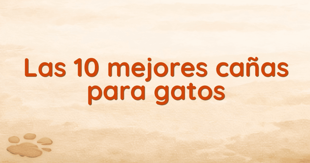 Las 10 mejores cañas para gatos