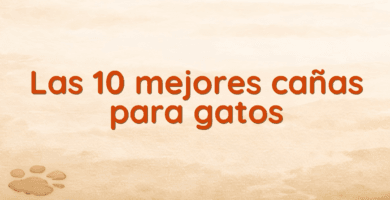 Las 10 mejores cañas para gatos