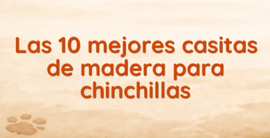 Las 10 mejores casitas de madera para chinchillas