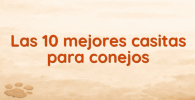 Las 10 mejores casitas para conejos