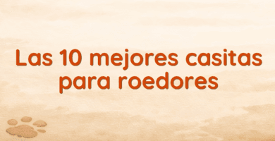 Las 10 mejores casitas para roedores Las 10 mejores casitas para roedores