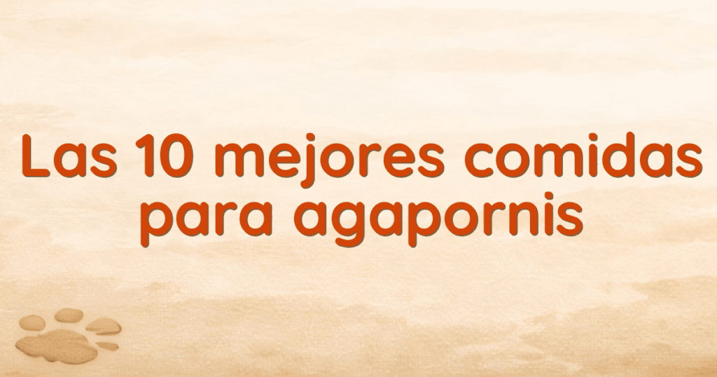 Las 10 mejores comidas para agapornis