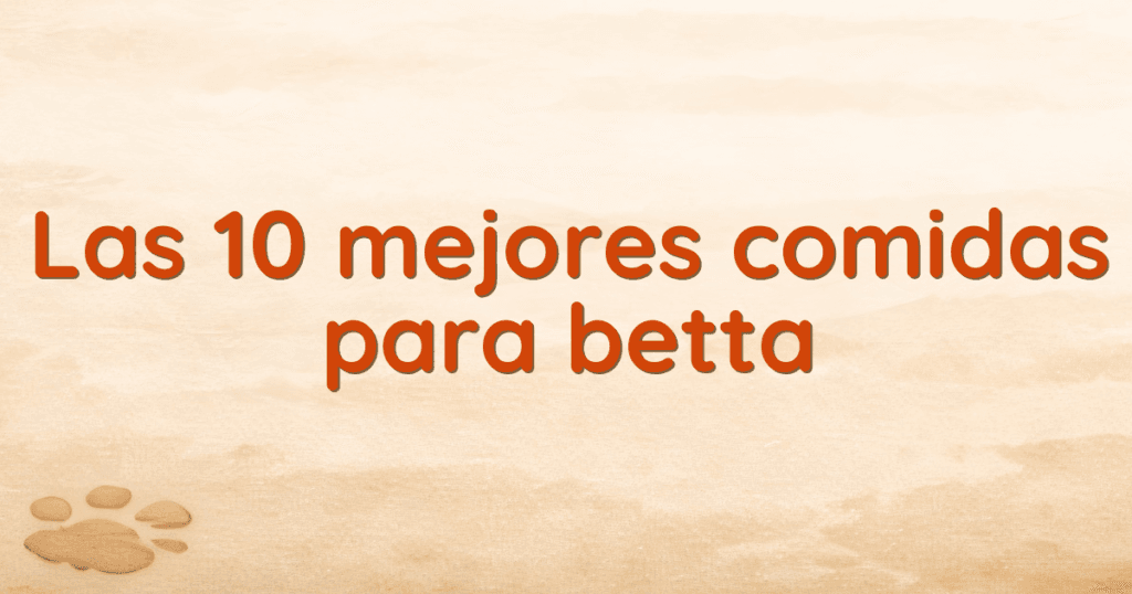 Las 10 mejores comidas para betta