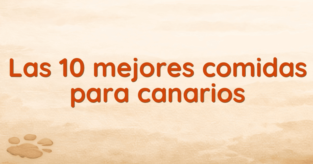 Las 10 mejores comidas para canarios Las 10 mejores comidas para canarios
