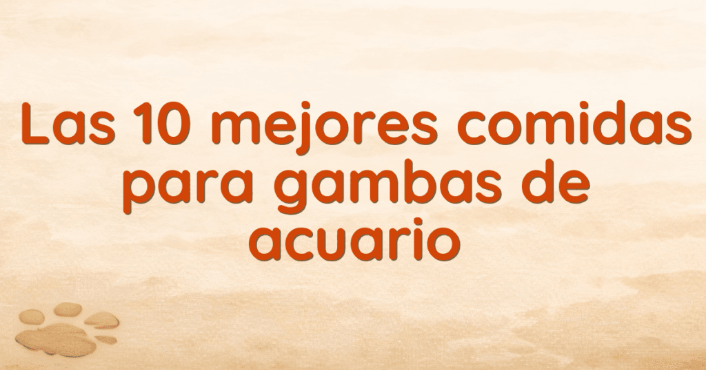 Las 10 mejores comidas para gambas de acuario Las 10 mejores comidas para gambas de acuario