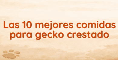 Las 10 mejores comidas para gecko crestado Las 10 mejores comidas para gecko crestado