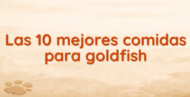 Las 10 mejores comidas para goldfish Las 10 mejores comidas para goldfish
