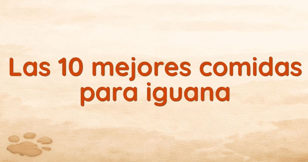 Las 10 mejores comidas para iguana