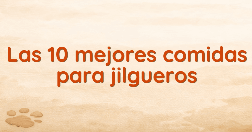 Las 10 mejores comidas para jilgueros