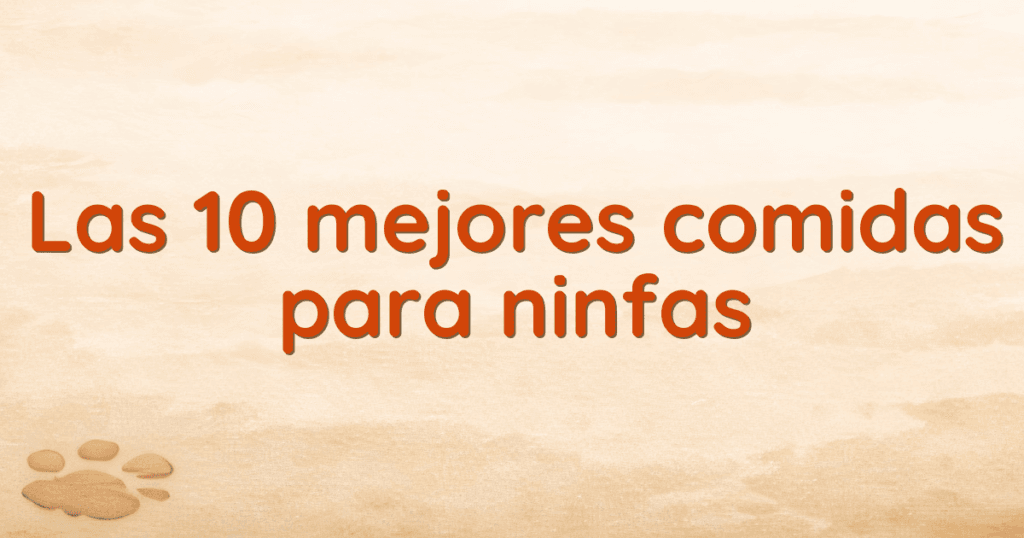 Las 10 mejores comidas para ninfas
