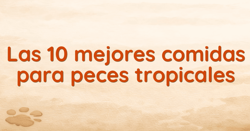 Las 10 mejores comidas para peces tropicales Las 10 mejores comidas para peces tropicales
