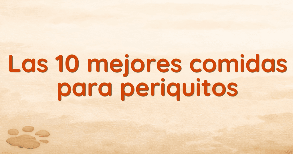 Las 10 mejores comidas para periquitos Las 10 mejores comidas para periquitos