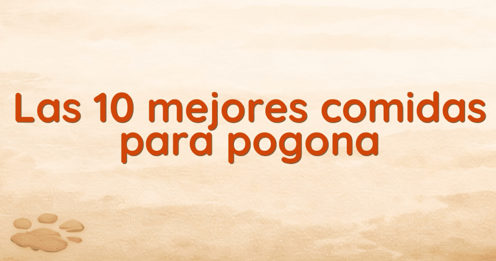 Las 10 mejores comidas para pogona