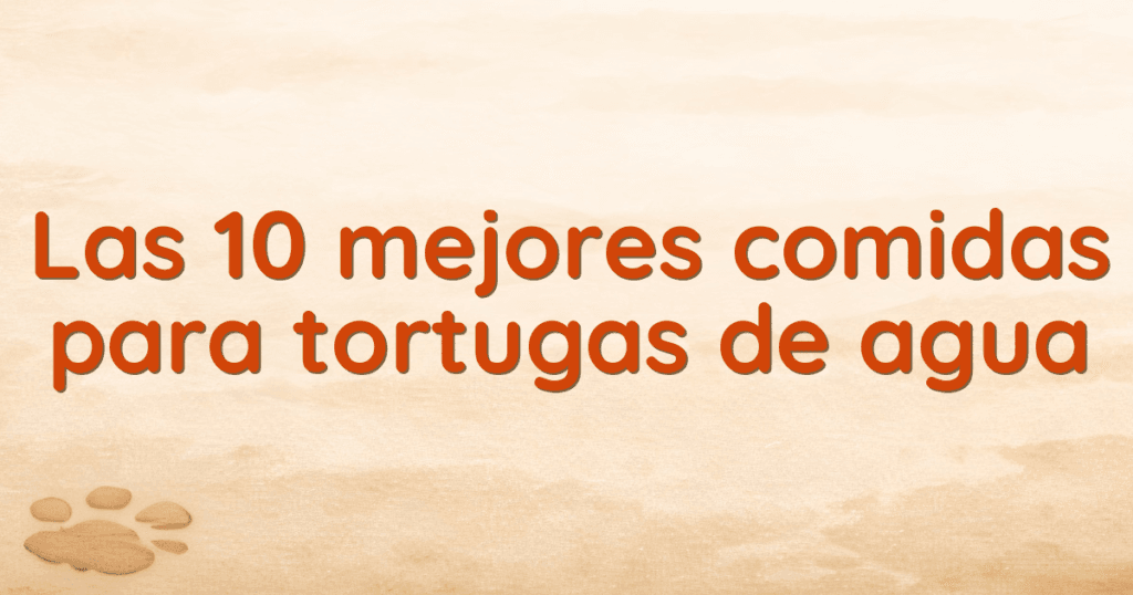 Las 10 mejores comidas para tortugas de agua Las 10 mejores comidas para tortugas de agua