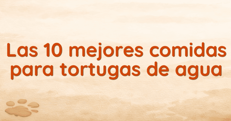 Las 10 mejores comidas para tortugas de agua Las 10 mejores comidas para tortugas de agua