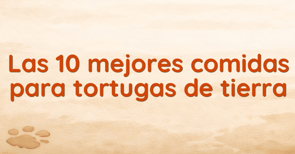 Las 10 mejores comidas para tortugas de tierra