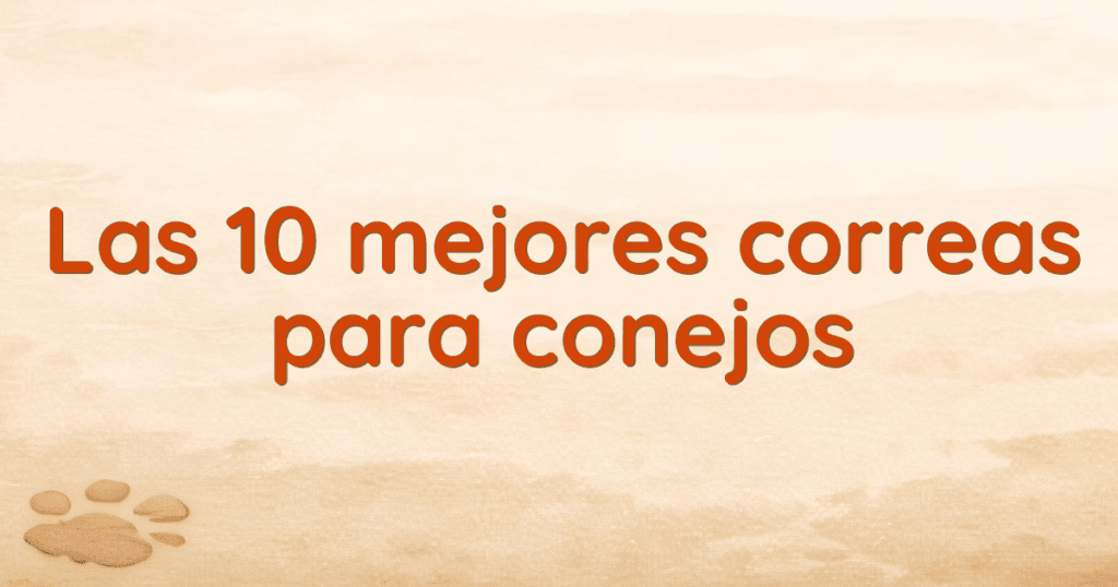 Las 10 mejores correas para conejos Las 10 mejores correas para conejos