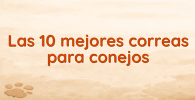 Las 10 mejores correas para conejos