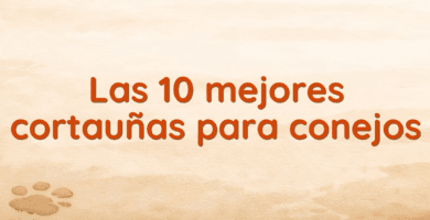 Las 10 mejores cortauñas para conejos
