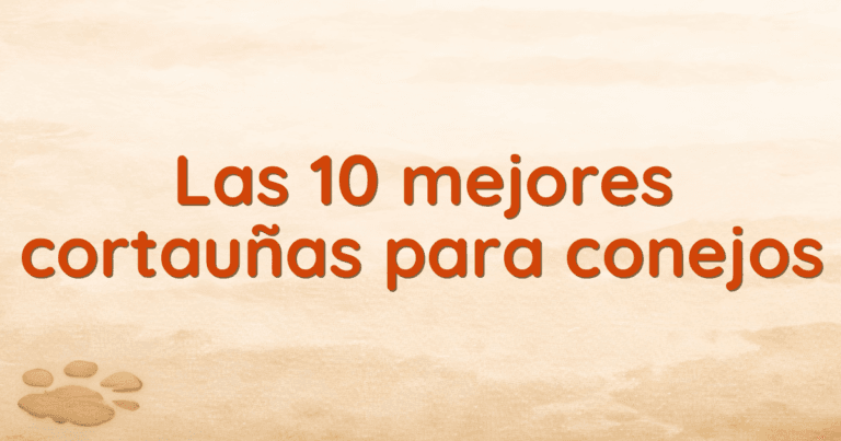Las 10 mejores cortauñas para conejos