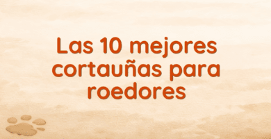 Las 10 mejores cortauñas para roedores