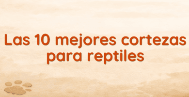 Las 10 mejores cortezas para reptiles