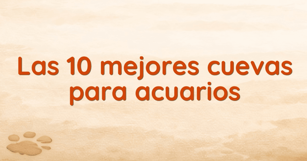 Las 10 mejores cuevas para acuarios