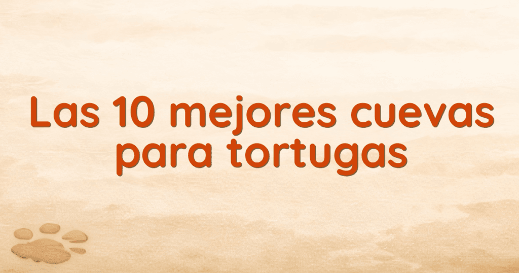 Las 10 mejores cuevas para tortugas
