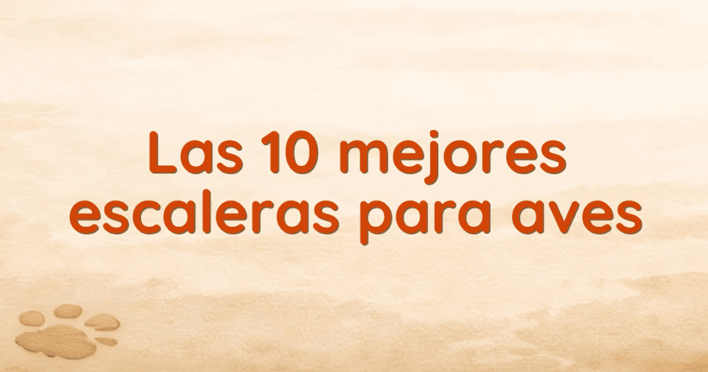 Las 10 mejores escaleras para aves