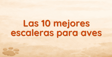 Las 10 mejores escaleras para aves