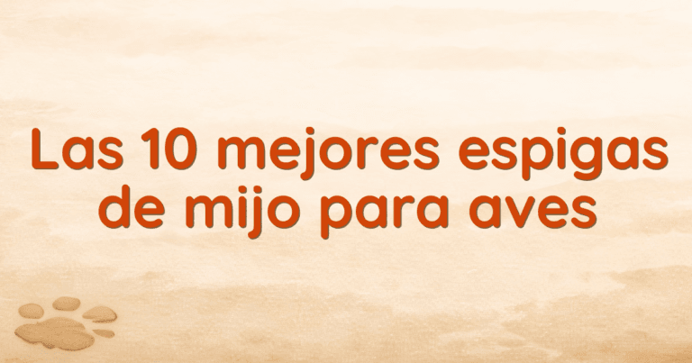 Las 10 mejores espigas de mijo para aves Las 10 mejores espigas de mijo para aves
