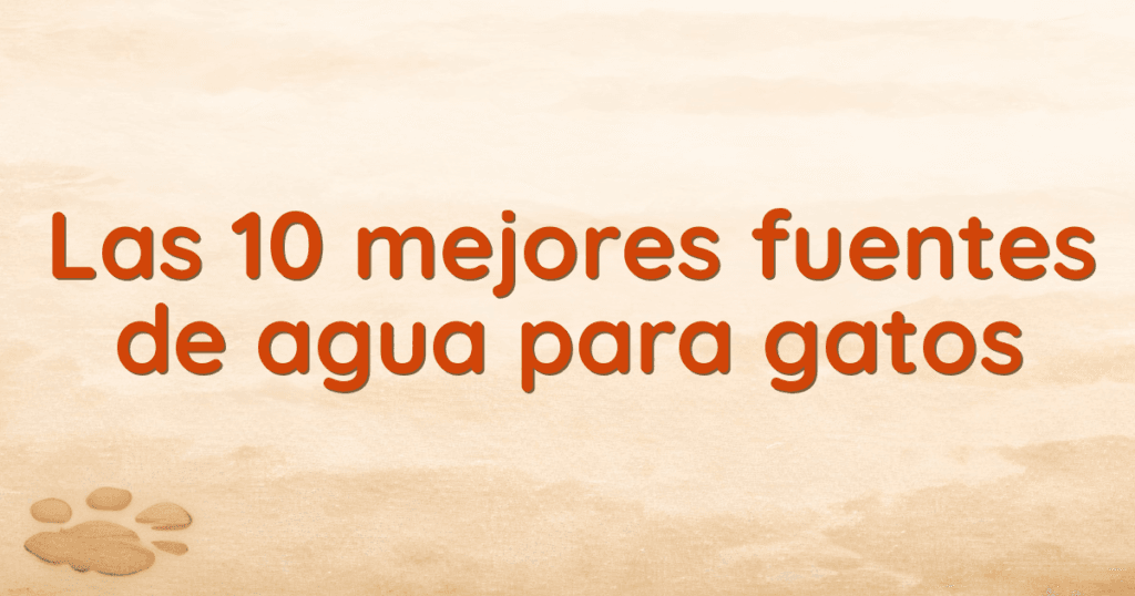 Las 10 mejores fuentes de agua para gatos Las 10 mejores fuentes de agua para gatos