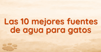 Las 10 mejores fuentes de agua para gatos