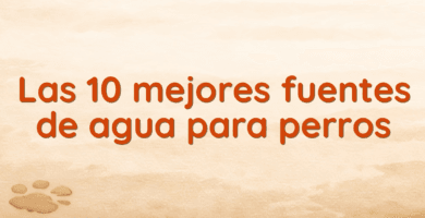 Las 10 mejores fuentes de agua para perros