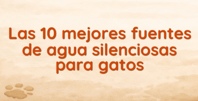Las 10 mejores fuentes de agua silenciosas para gatos Las 10 mejores fuentes de agua silenciosas para gatos