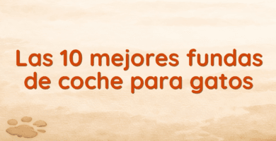 Las 10 mejores fundas de coche para gatos
