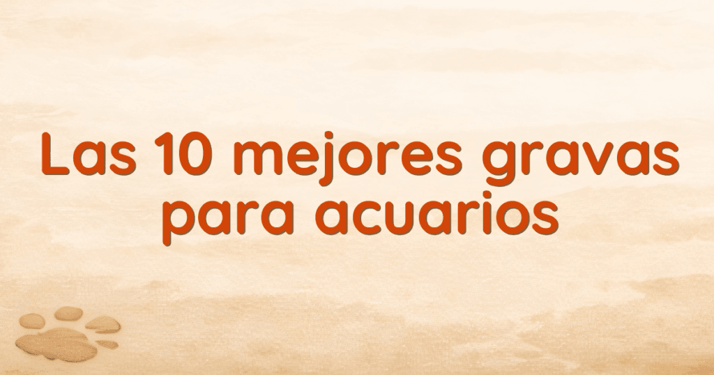 Las 10 mejores gravas para acuarios Las 10 mejores gravas para acuarios