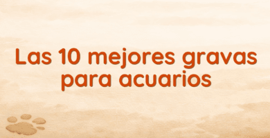 Las 10 mejores gravas para acuarios