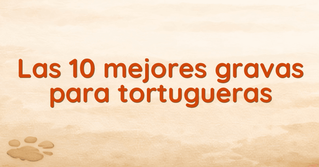 Las 10 mejores gravas para tortugueras
